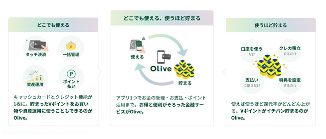 Olive（オリーブ）とは？【基本情報】