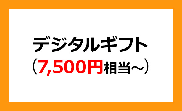 ラクーンホールディングス