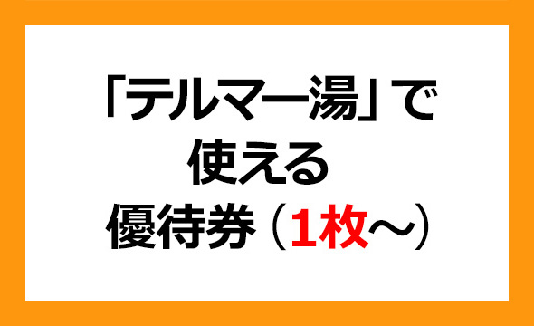 エコナックホールディングス株式会社　株主優券券