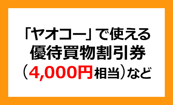 ブルーゾーンホールディングスの株主優待