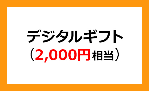 スパイダープラス