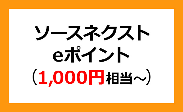 ソースネクスト　株主優待　10000ポイント