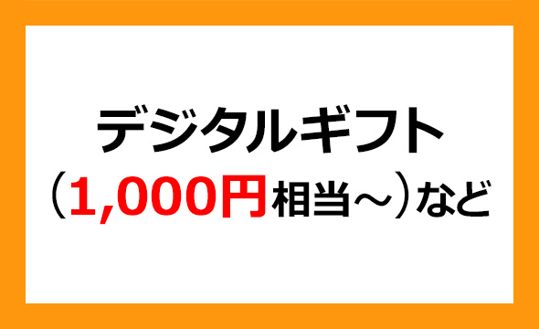 ナイルの株主優待