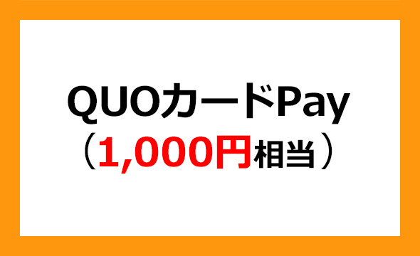 共和工業所の株主優待