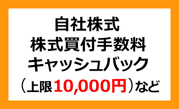 GMO TECHの株主優待