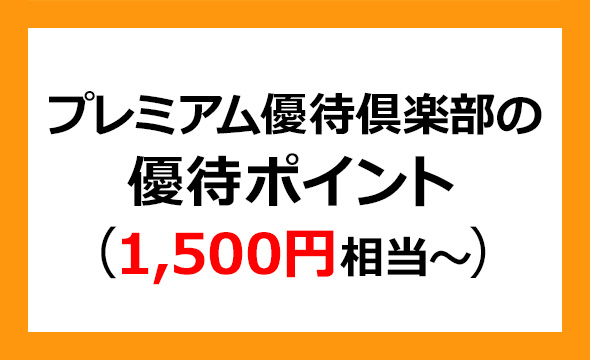 レイズネクストの株主優待