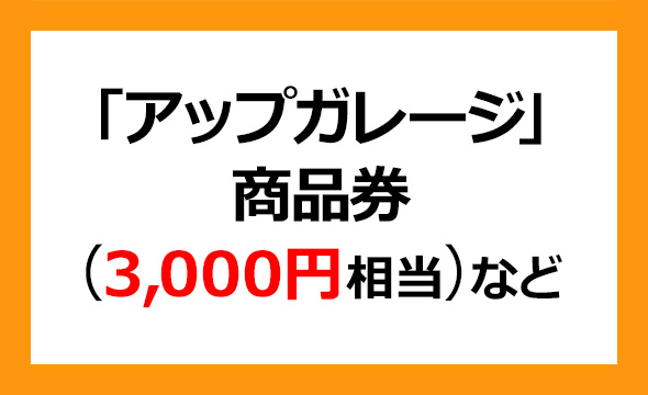 アップガレージグループの株主優待