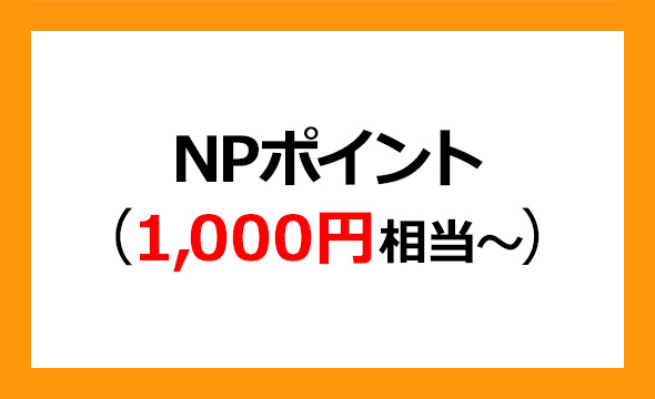 ネットプロテクションズホールディングス