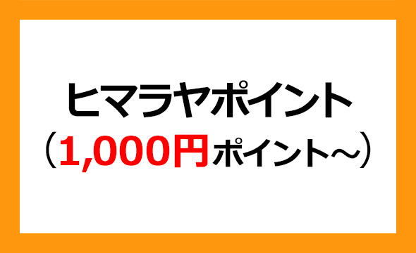 HIMARAYA　ヒマラヤ　株主優待