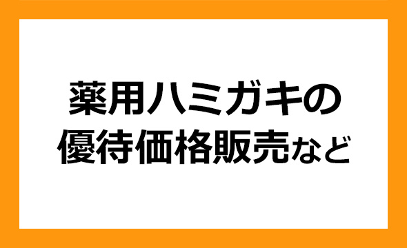 松風の株主優待の画像 1枚目