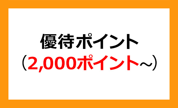 堀田丸正の株主優待